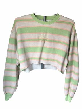 BDG Cropped Striped Sweatshirt in Mint Green and Pale Pink